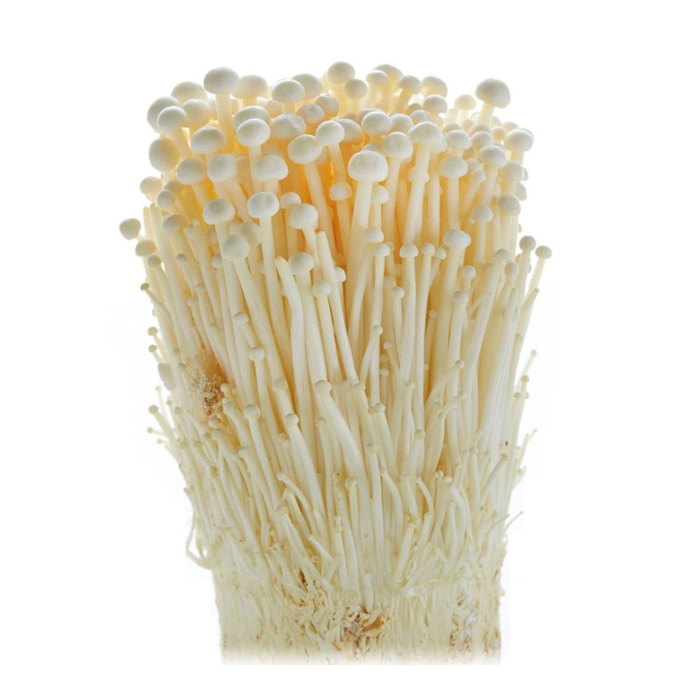Enoki Mushroom 1 Pack